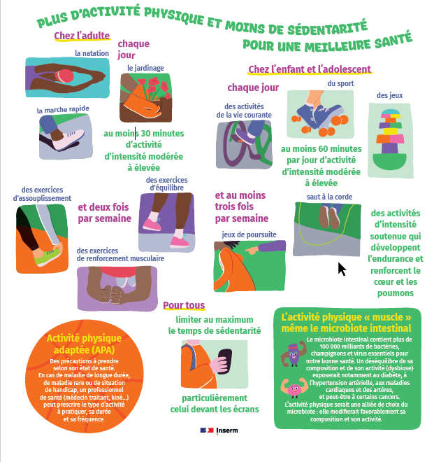 recommandation activite physique inserm brqzyj5ycm9n 67ed5e10a082d